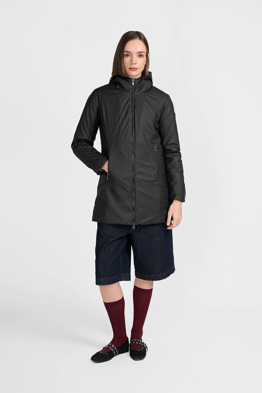 Canadian Terrebonne black