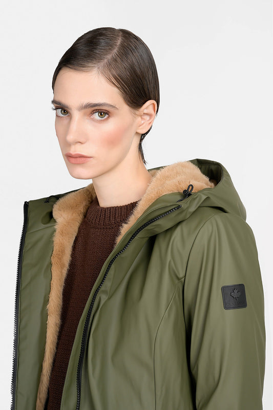 Canadian Terrebonne olive night